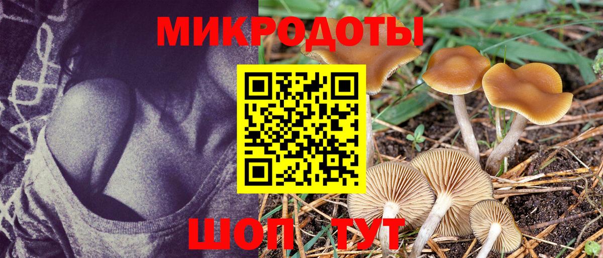 Галлюциногенные грибы прущие грибы  Псилоцибиновые грибы прущие грибы  купить   Сыктывкар  Вход с VPN 